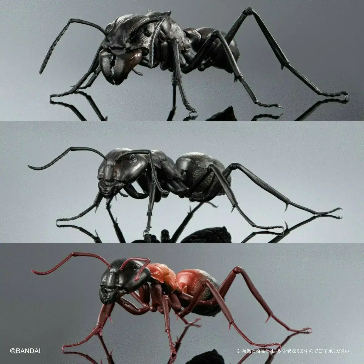 バンダイ いきもの大図鑑 アリ 3種 セット