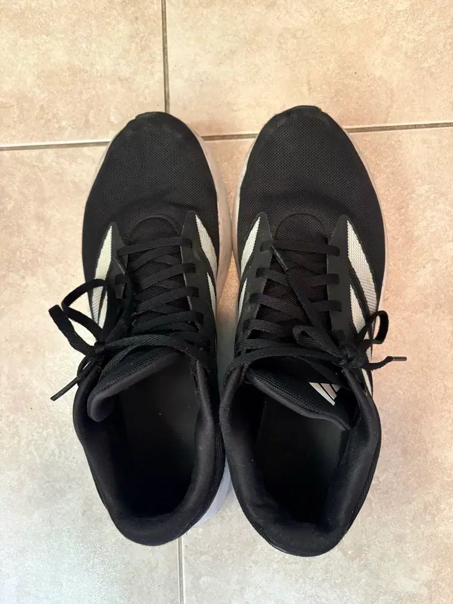 プレミア品】蝶々結び CD FC会員限定購入特典