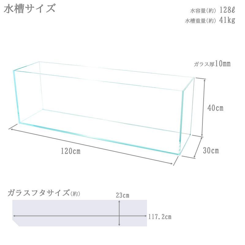 水槽 120cm ガラス水槽【120×30×40cm 128L】クリスティプレーン 120S 