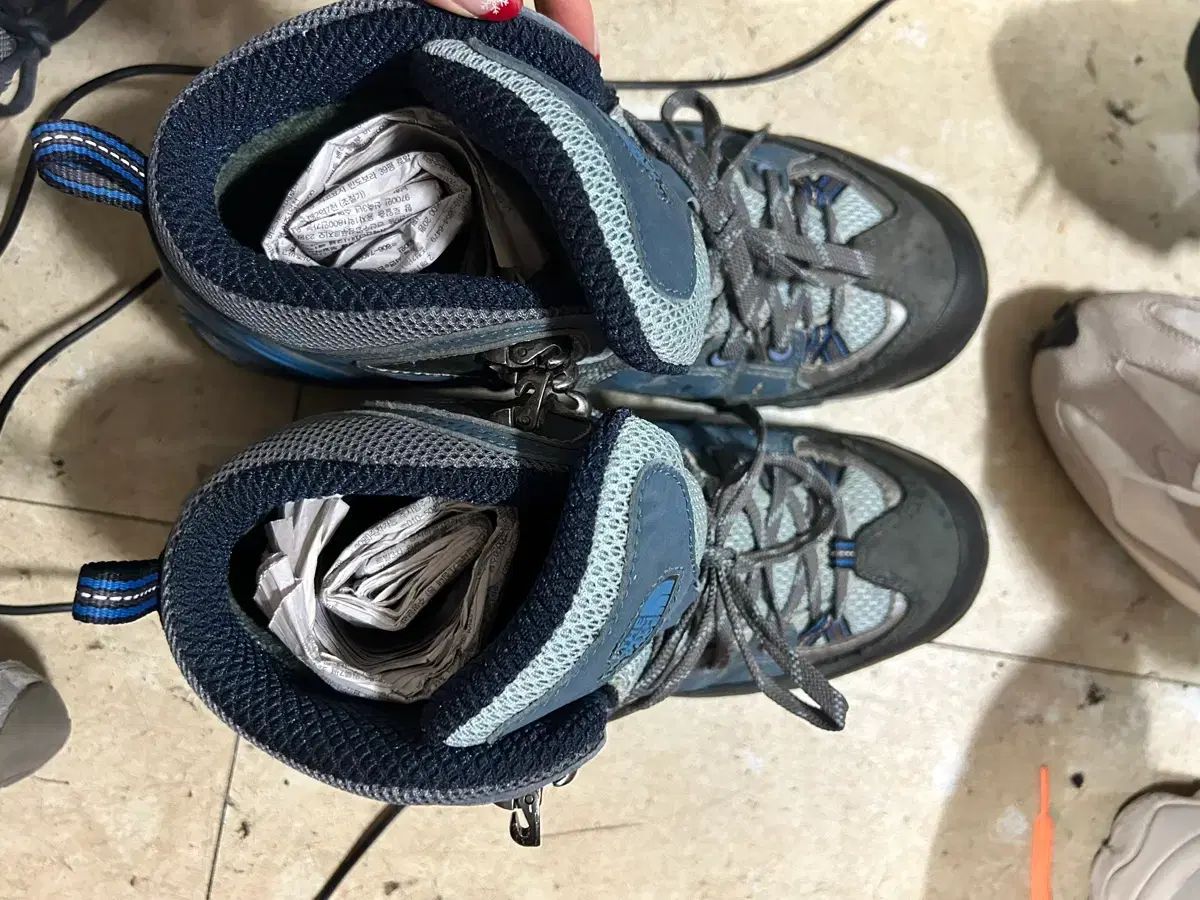 FACE ザノースフェイス