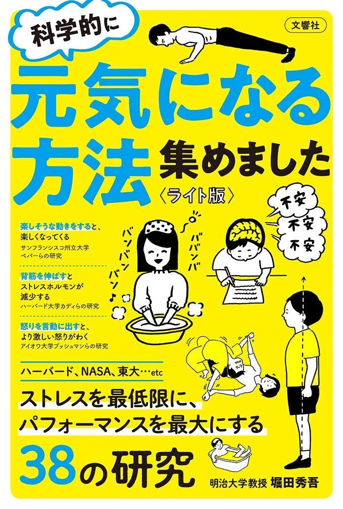 極美品 サンローラン 貴重サイズ LL ウールライナー 大きいサイズ 極美品 サンローラン 貴重サイズ LL ウールライナー 大きいサイズ
