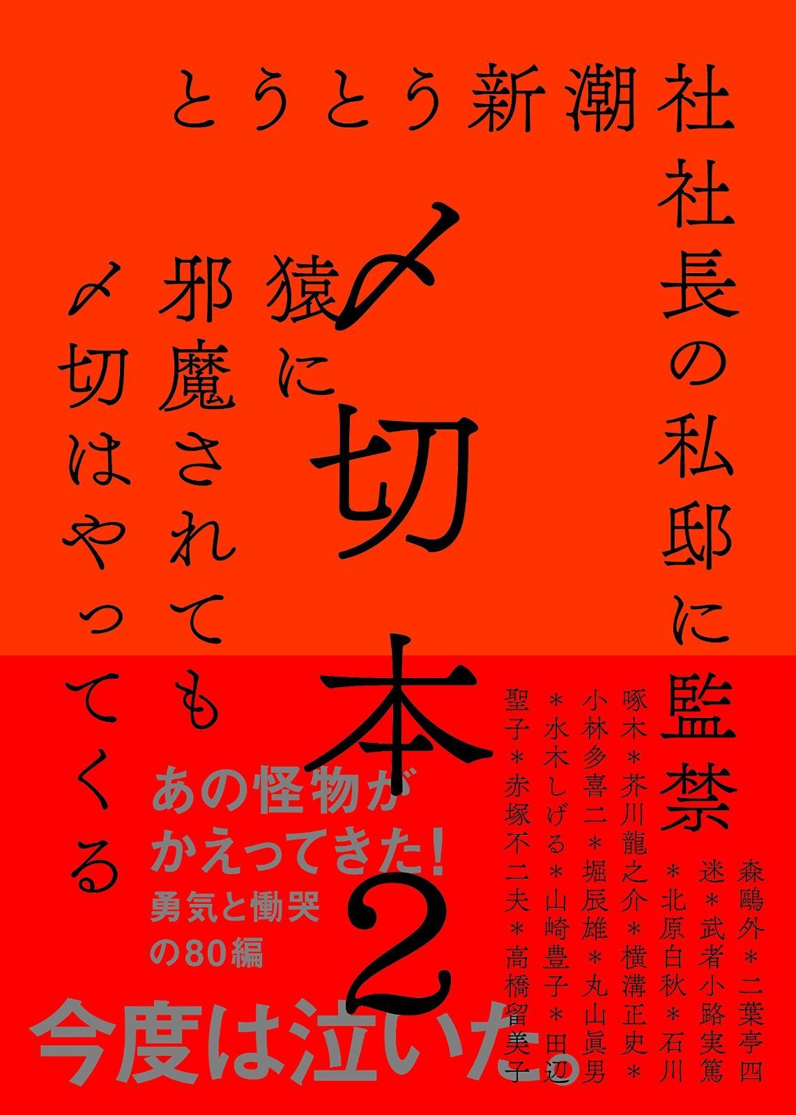 新品未使用)ピアジェ ポセション 替えベルト ブラックサテン②
