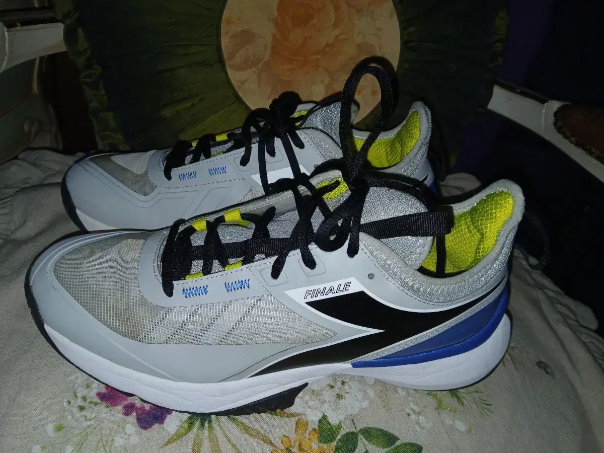 ディアドラヘリテージ フィナーレ AG テニスシューズ 275