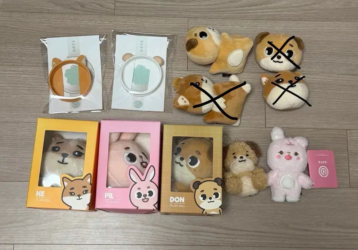 DAY 6 デイシックス MD まとめ