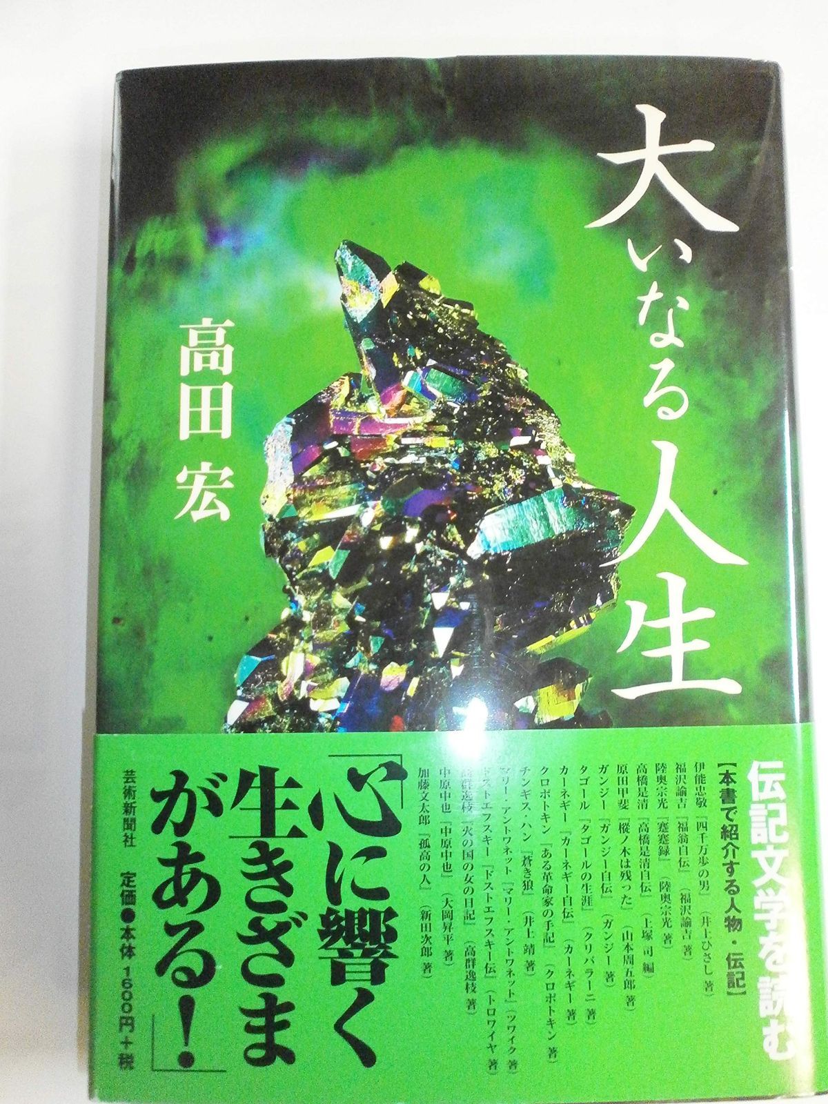 ゴッコ堂 MARVELOKINAWA ROID ロイド AKIRA 鉄雄 ソフビ