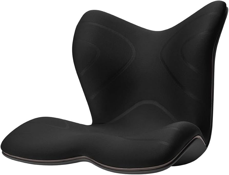 1206 A スタイル シリーズ Style PREMIUM Series MTG エムティージー 骨盤サポートチェア 座椅子 ミーティングチェア ブラックMTG