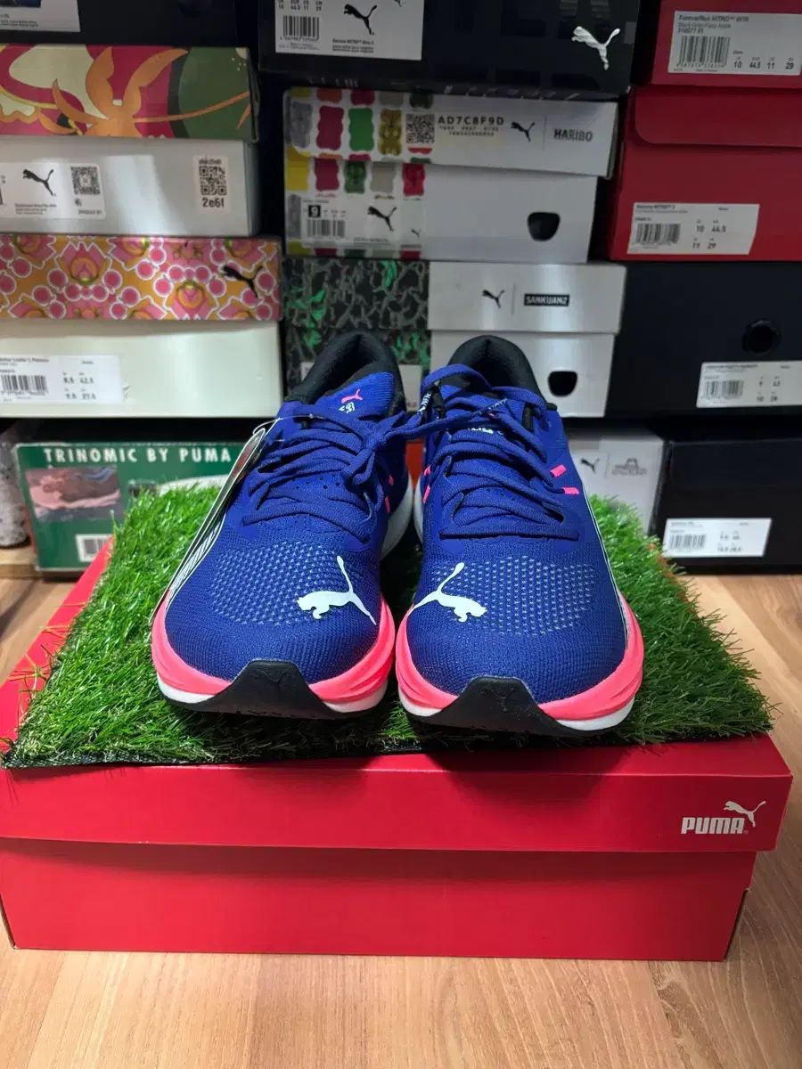  プーマ ディビエイト ニトロ 3 285 登山靴 トレッキングシューズ アウトドアシューズ