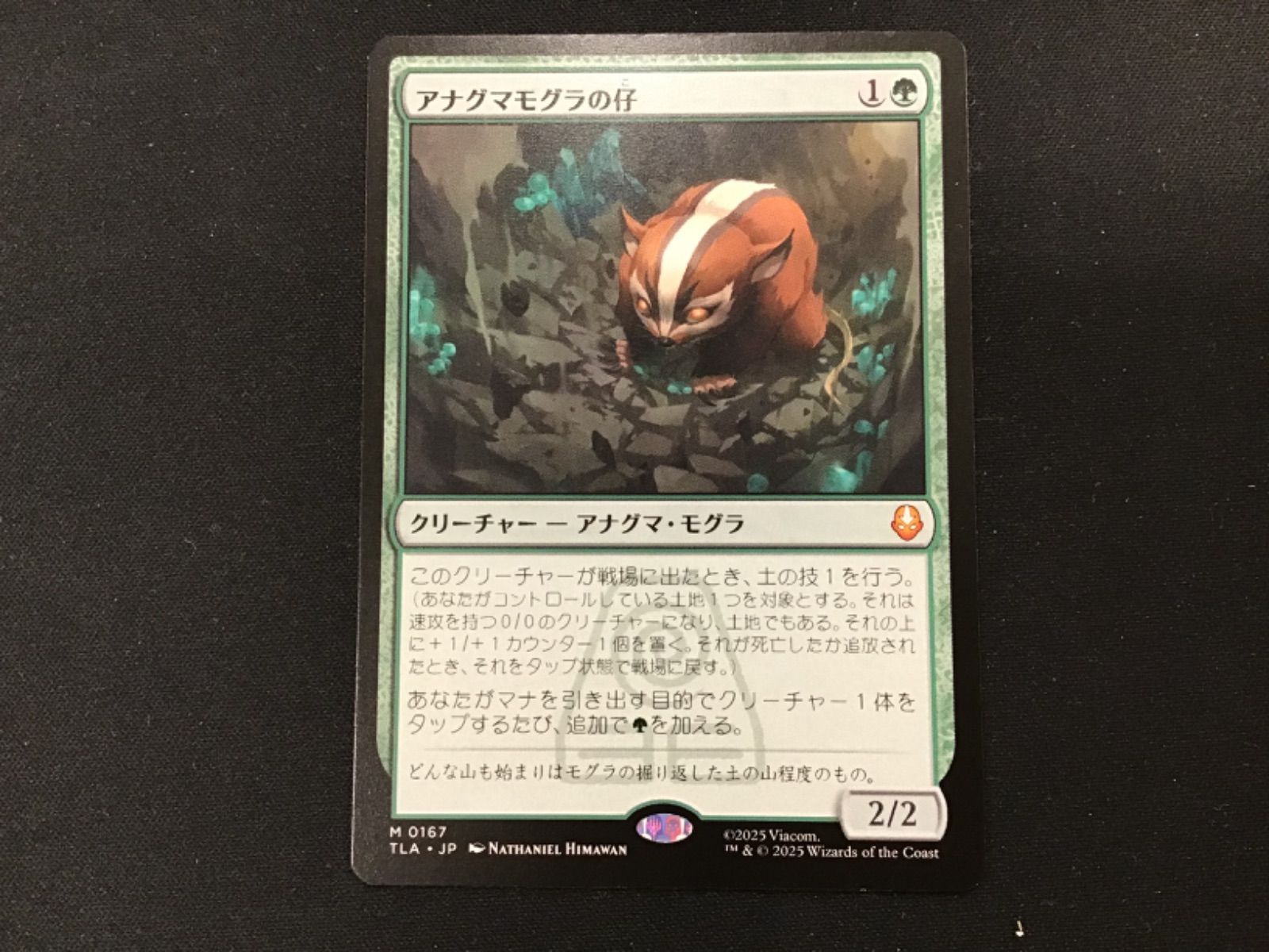 MTG アナグマモグラの仔 2枚 MTG】アナグマモグラの仔 2