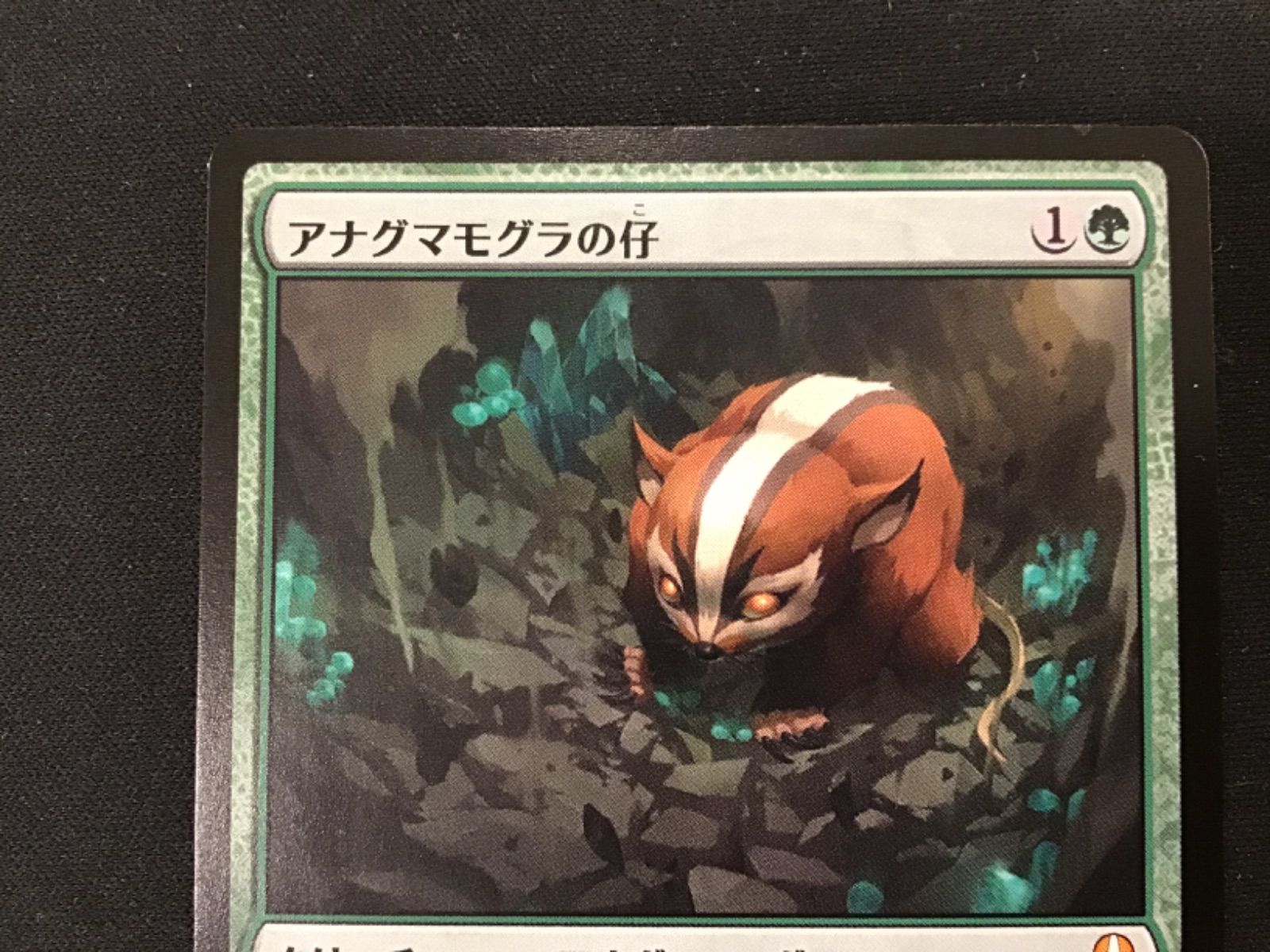 MTG】アナグマモグラの仔 2