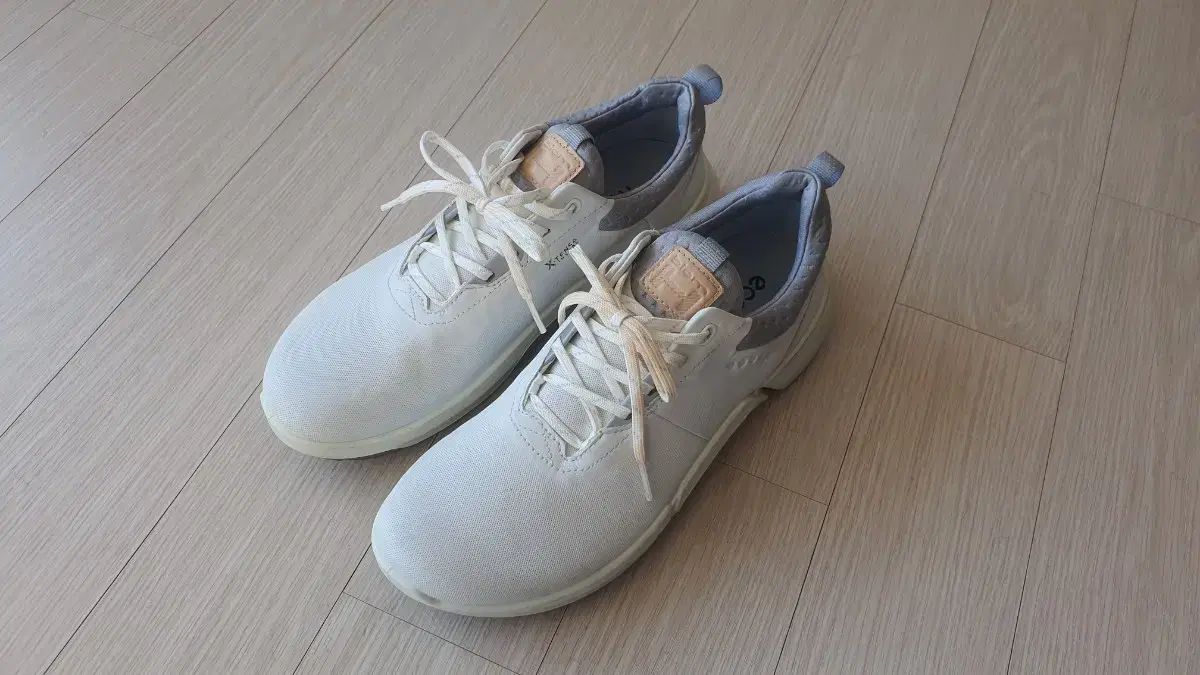 Ecco バイオム H 4 ゴルフシューズ