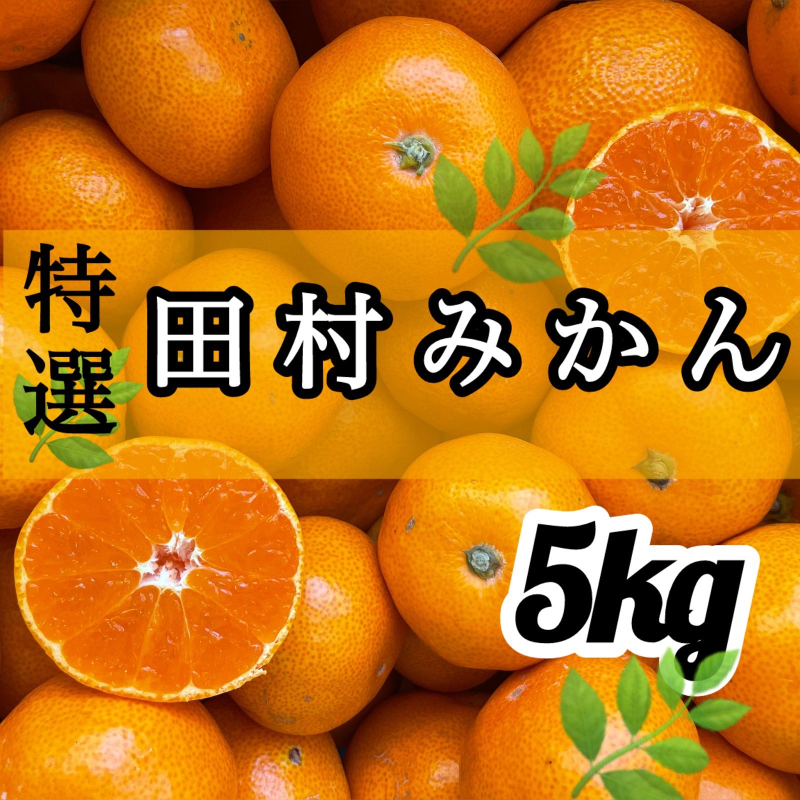 S.H.Figuarts 仮面ライダーセイバー 特選 和歌山 田村みかん 5kg 早生みかん S-Lサイズ混合 早生みかん