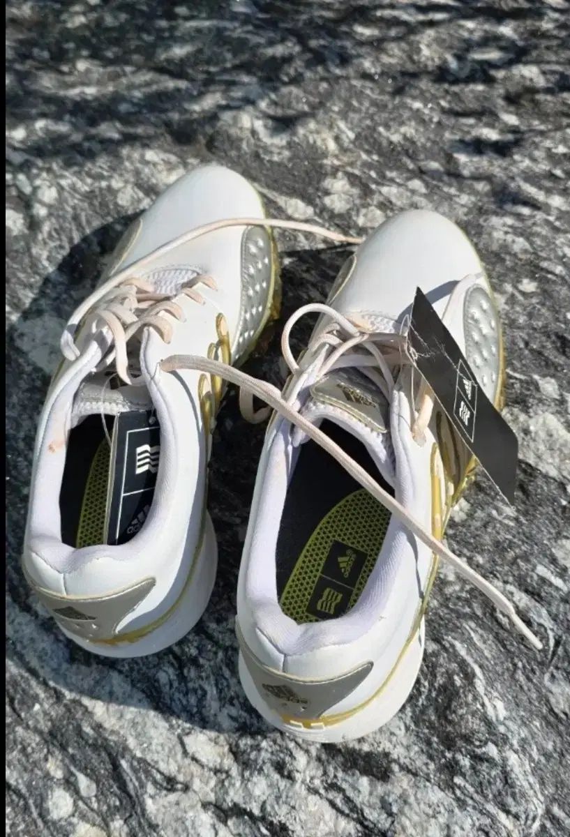 アディダス ゴルフシューズ 白 235ミリ