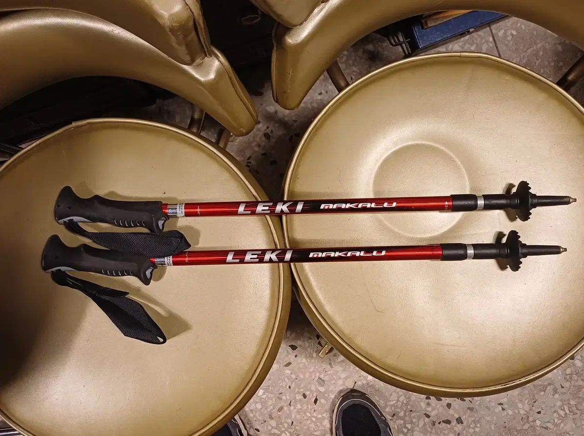 レキマーカースティック基本モデル