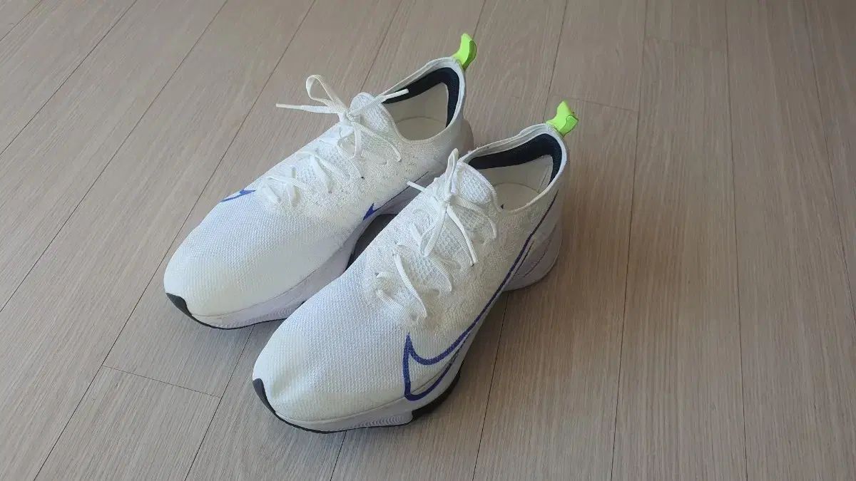 ナイキ エアズーム テンポ ネクスト フライニット ランニングシューズ 28 5 cm