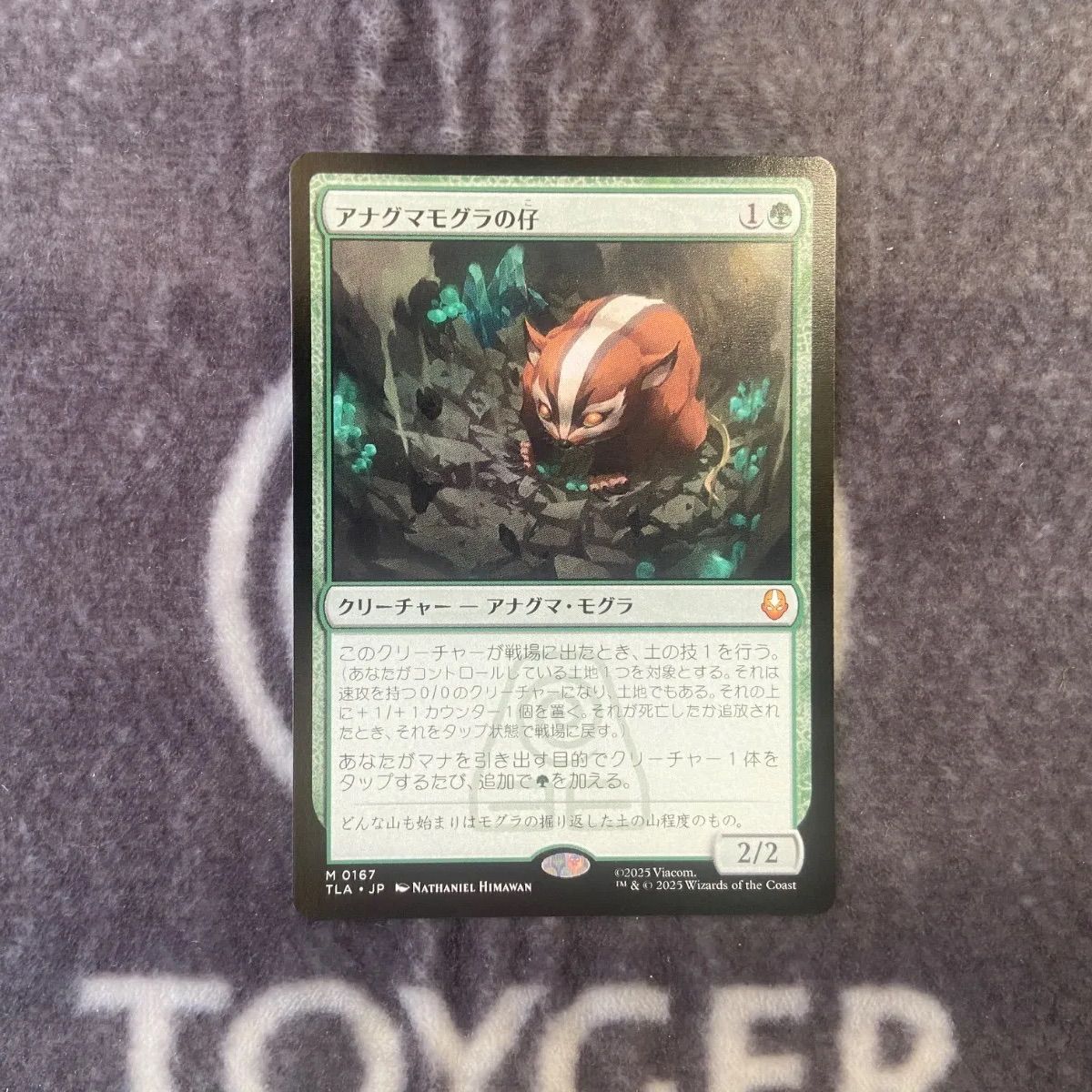 MTG アナグマモグラの仔 日本語版×1枚 MTG アナグマモグラの仔