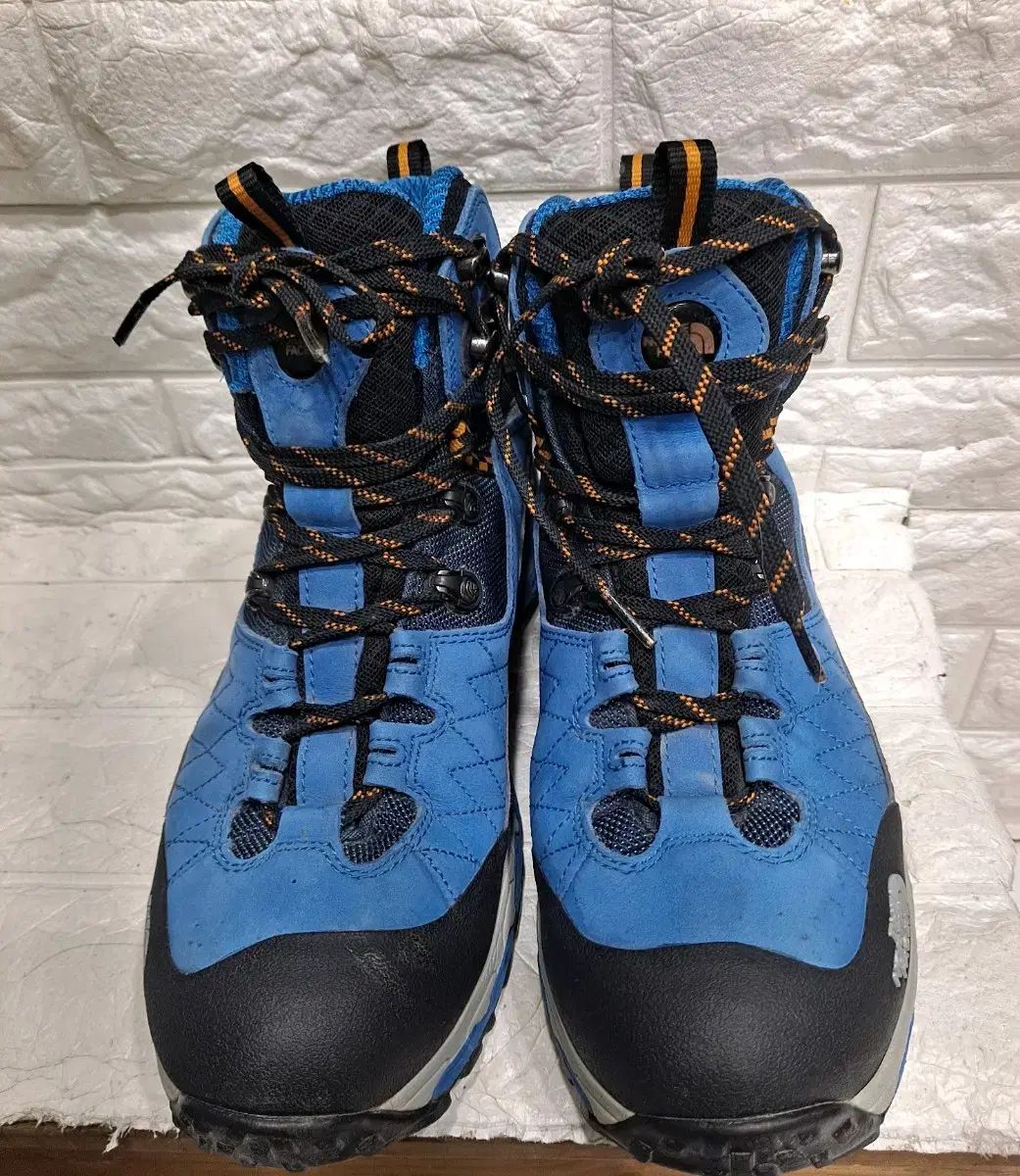THE NORTH FACE ザノースフェイス ダイナミック ハイキング ミッドカット ゴアテックス サン SAN 登山靴 270