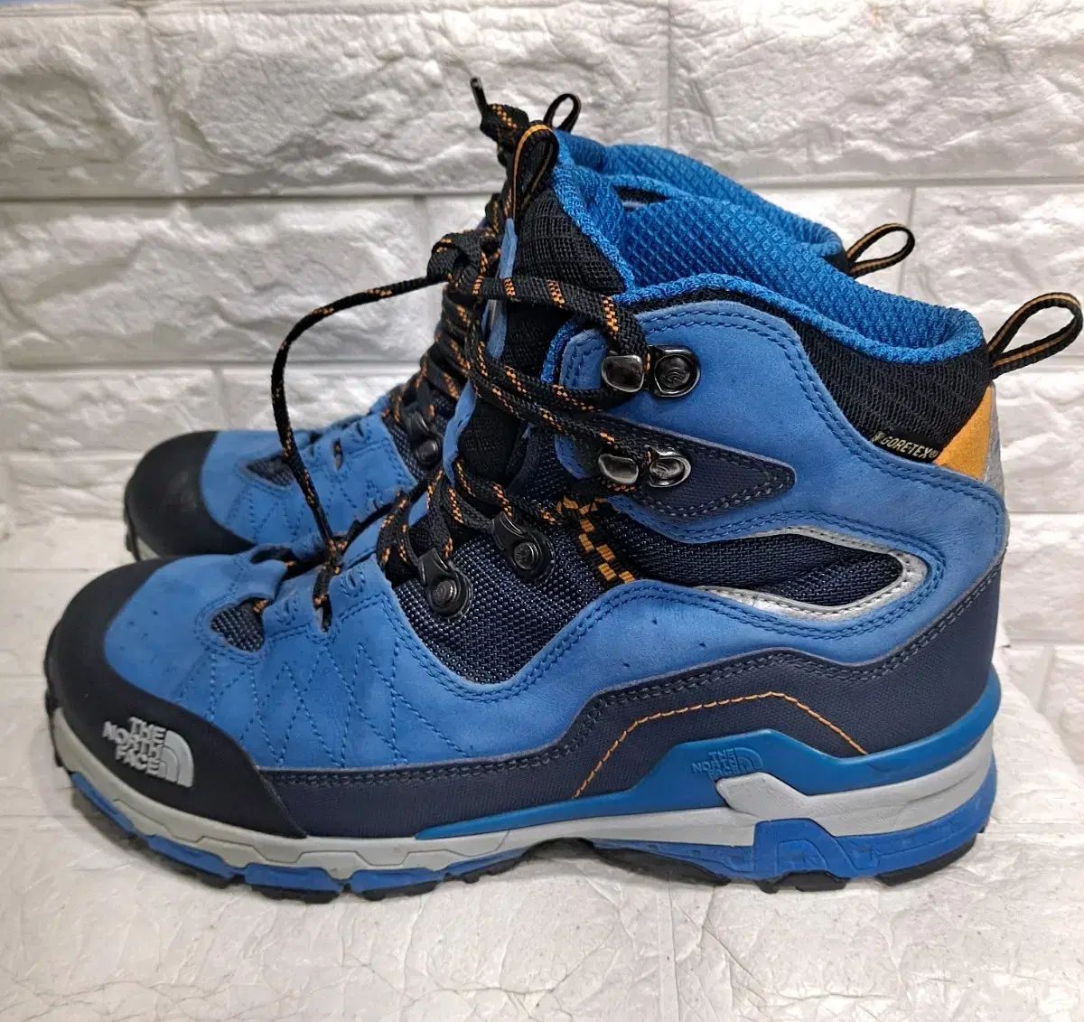 THE NORTH FACE ザノースフェイス ダイナミック ハイキング ミッドカット ゴアテックス サン SAN 登山靴 270