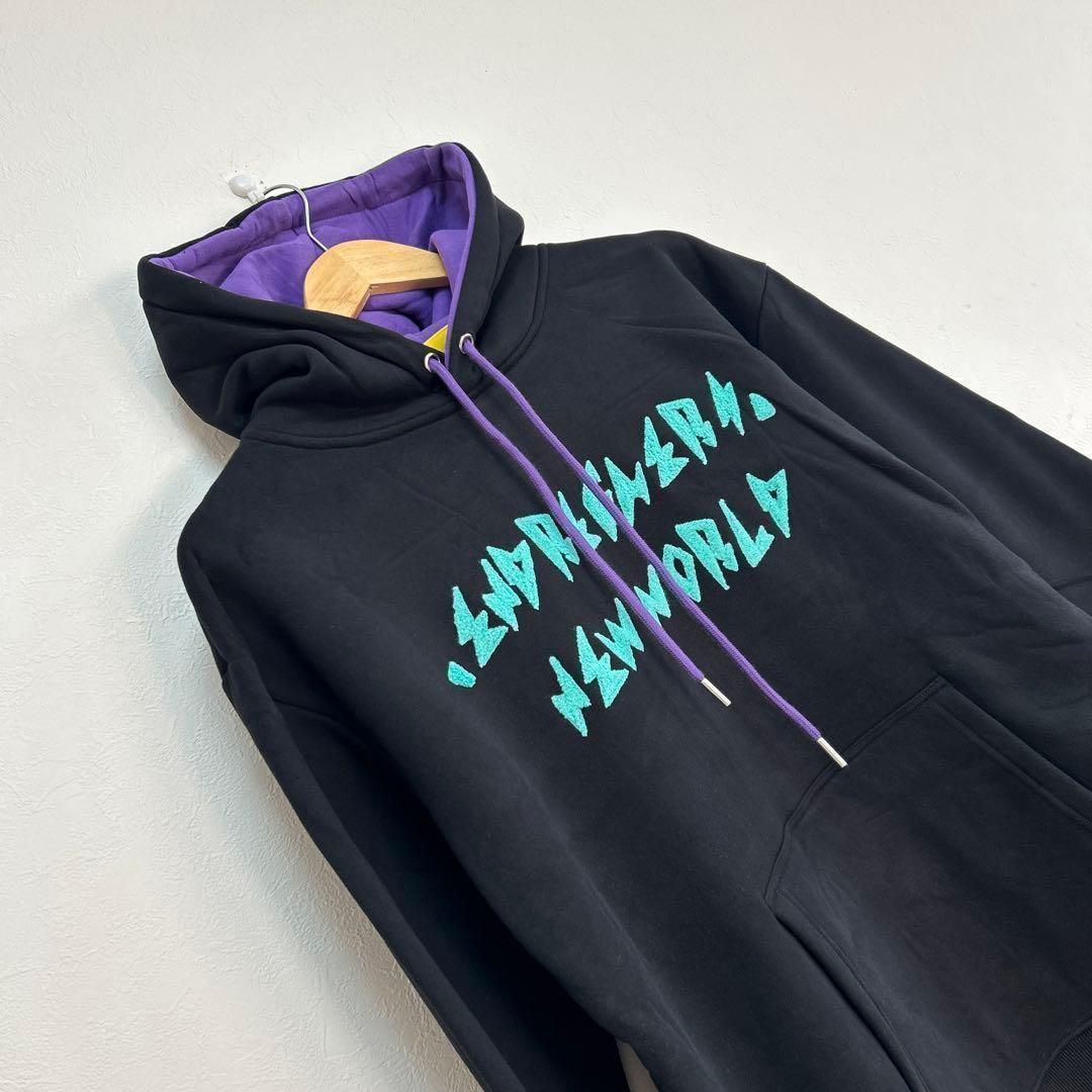 堂本剛 パーカー ENDRECHERI RE ライブ 2024 エンドリケリー カッコ