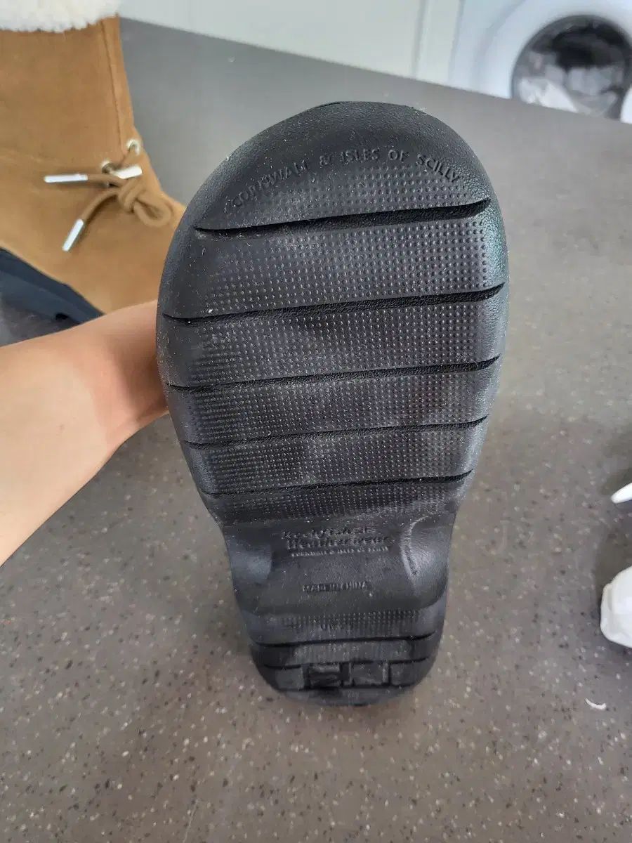 ロックフィッシュ