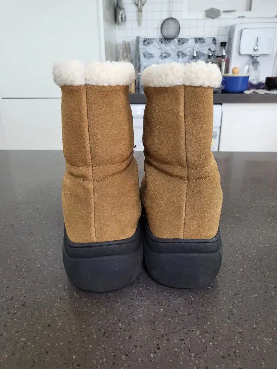 ロックフィッシュ