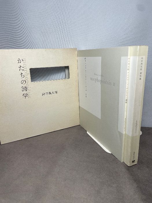 かたちの詩学 morphopoiesis 美術出版社 向井 周太郎