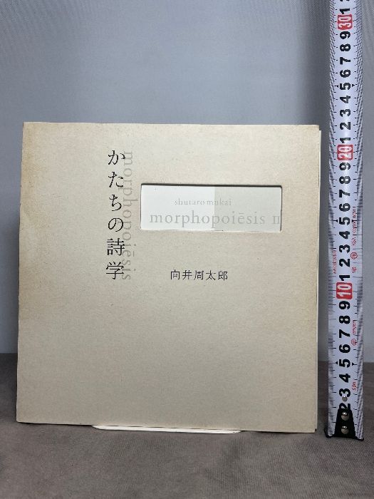 かたちの詩学 morphopoiesis 美術出版社 向井 周太郎