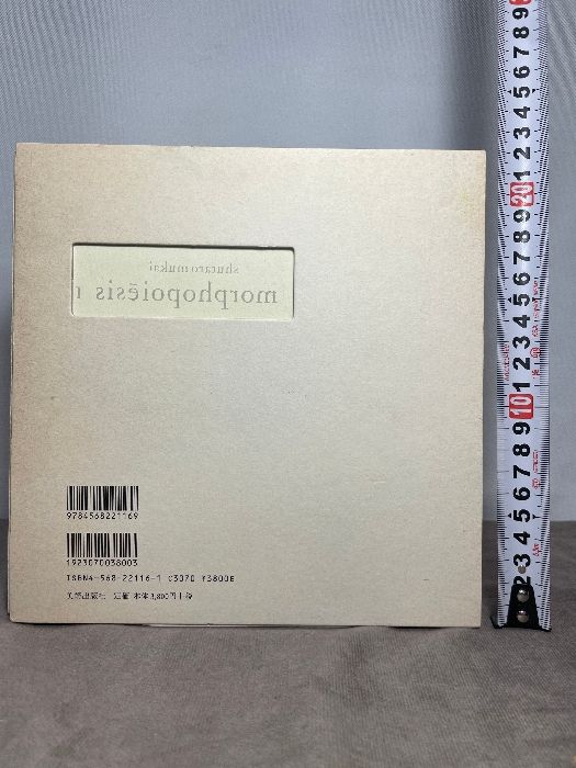 かたちの詩学 morphopoiesis 美術出版社 向井 周太郎