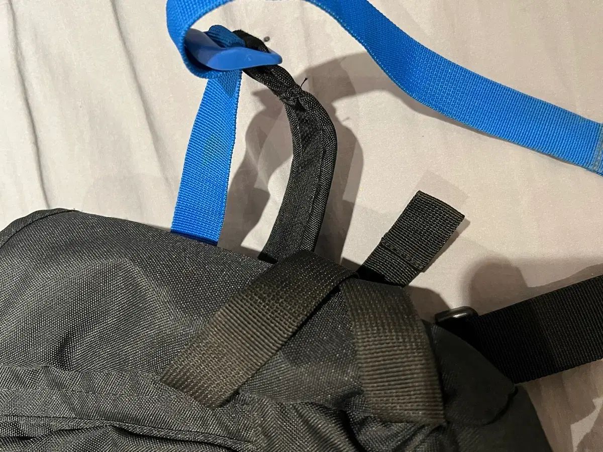 ブラック ブルー