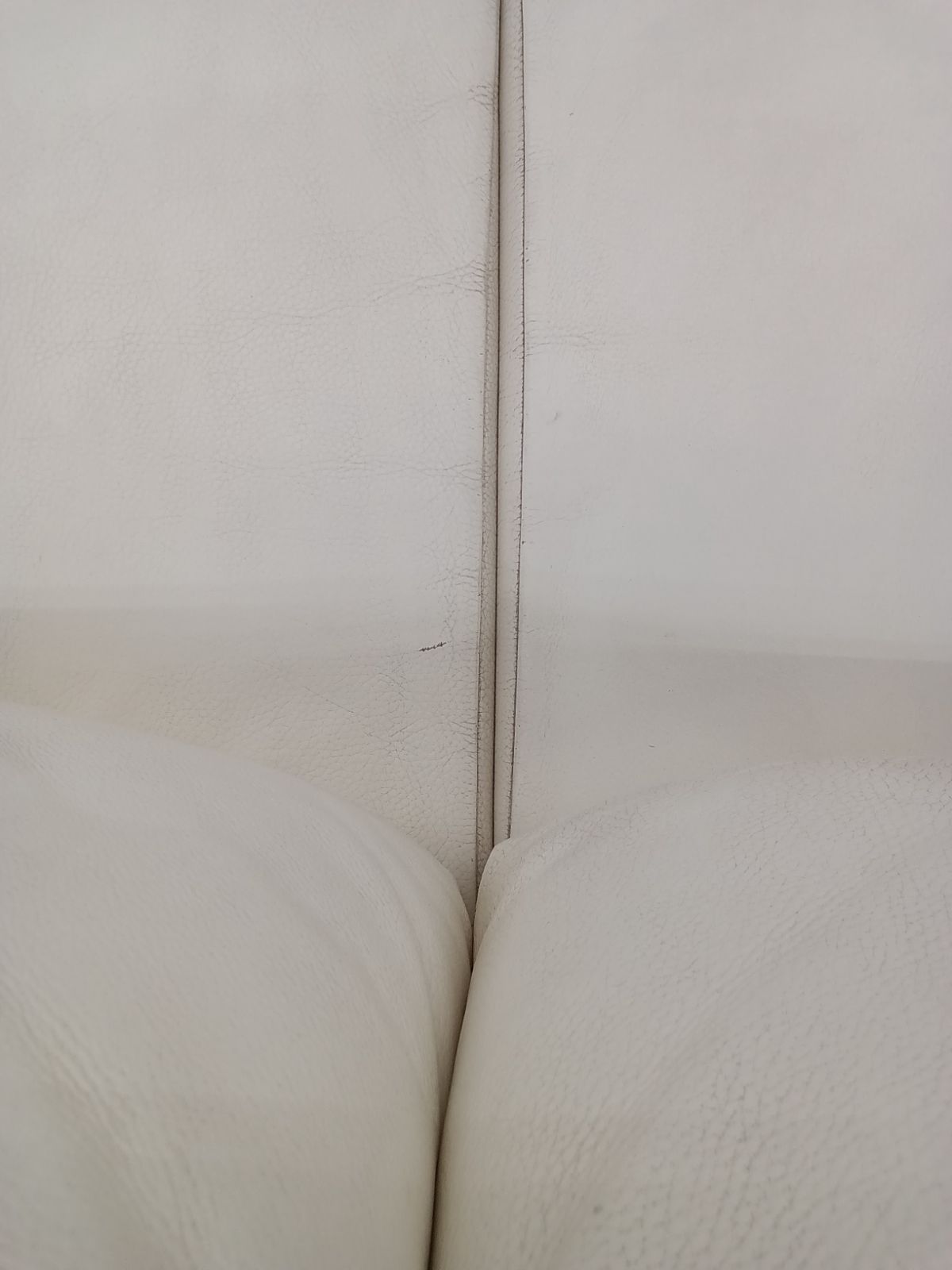  関東地域 販売 2階上げ不可 Ritzwell ソファー ベルベット無地 2人掛け 3人掛けソファ ソファ ソファベッド