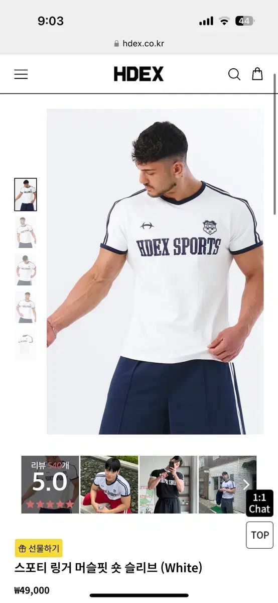 YOSHIHIKO FUJII 漆白金箔ガラスプレート2枚組