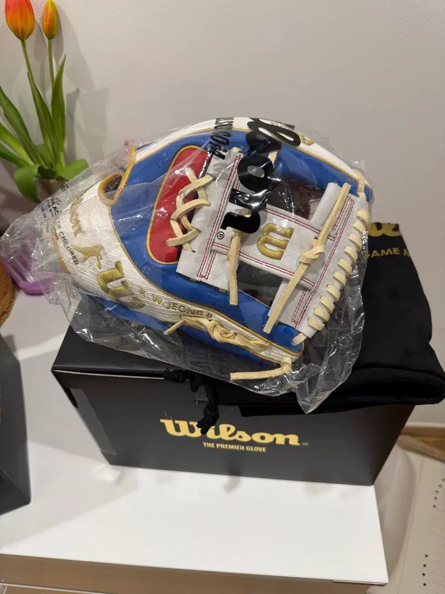 ウィルソン HOF チョン グンウ 24 GM