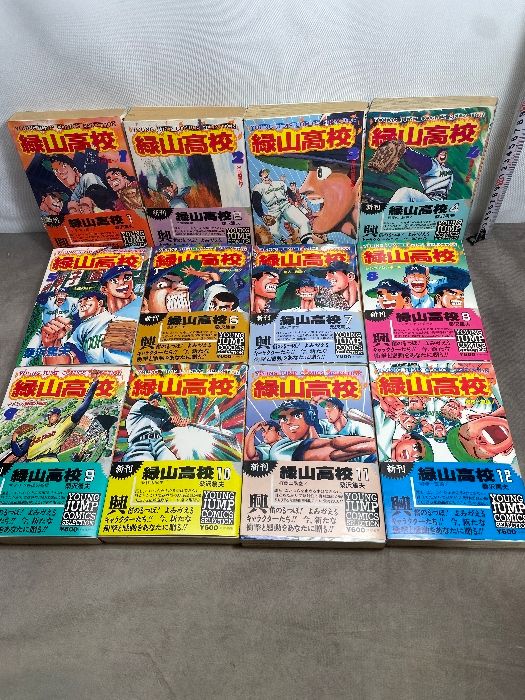 緑山高校 セレクション版 コミック 全12巻完結セット (ヤングジャンプ