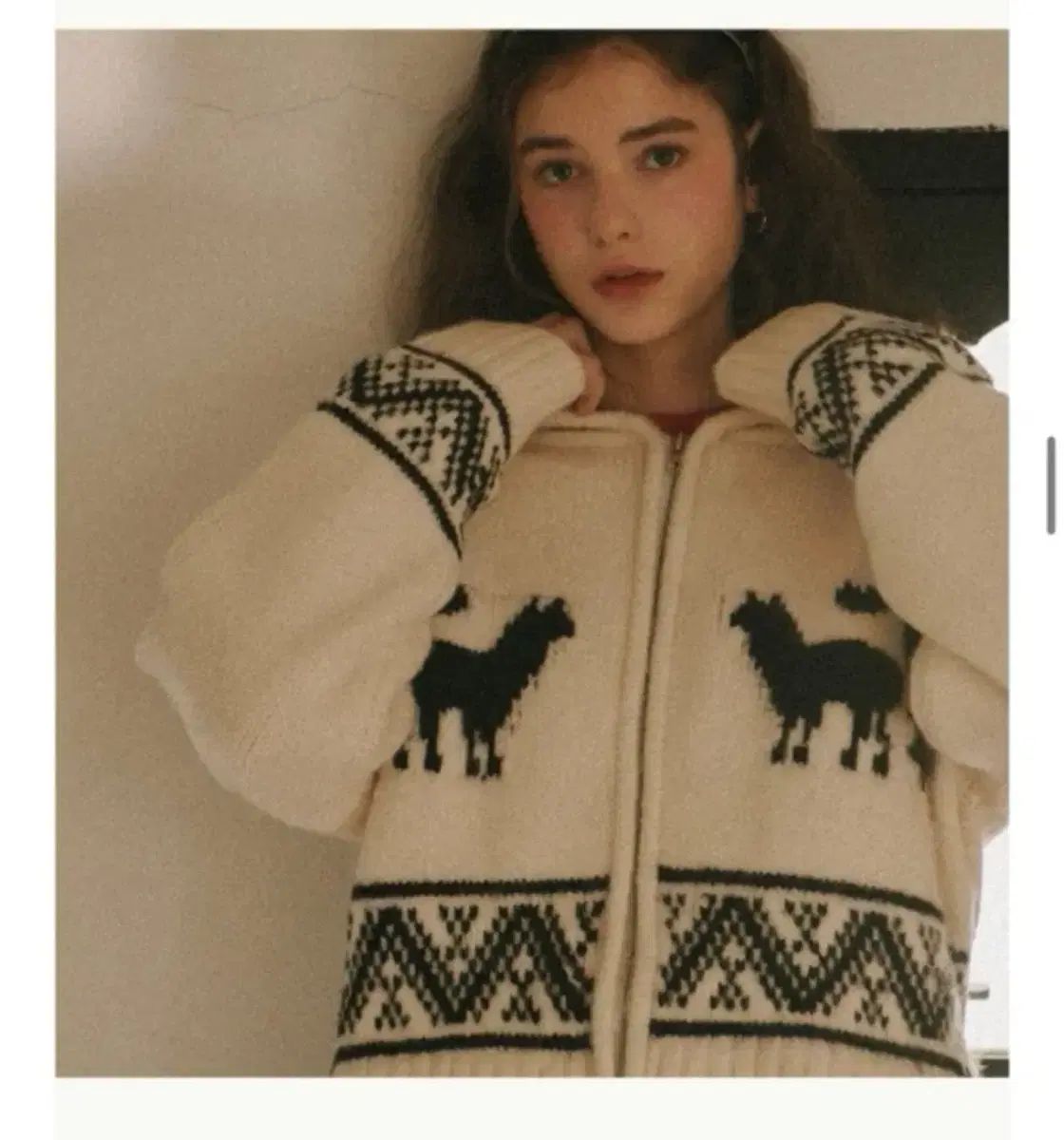 ロンロン アルパカ ジャカード カウチン フード ニット ジップアップ