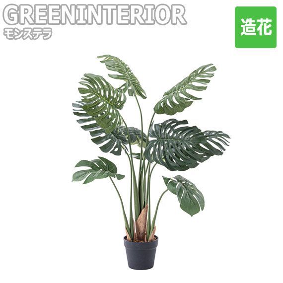 GREEN INTERIOR グリーンインテリア モンステラ