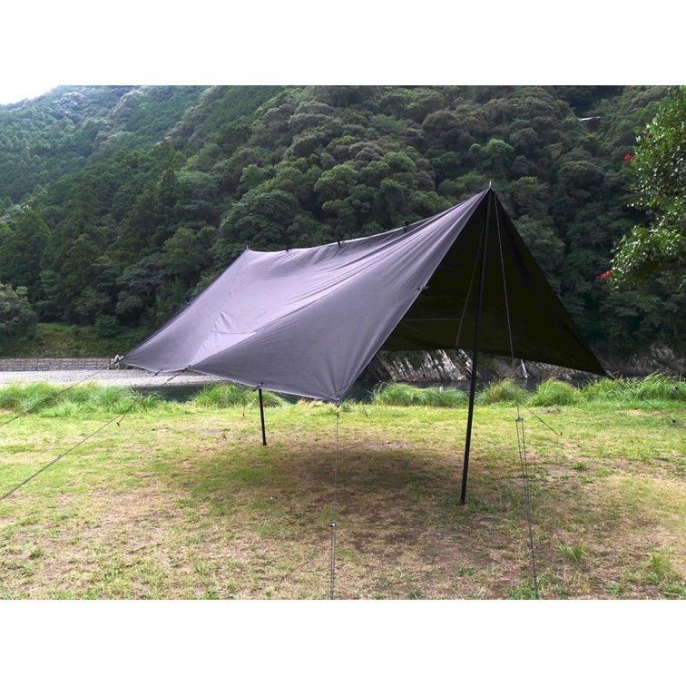 コヨーテ ブラック