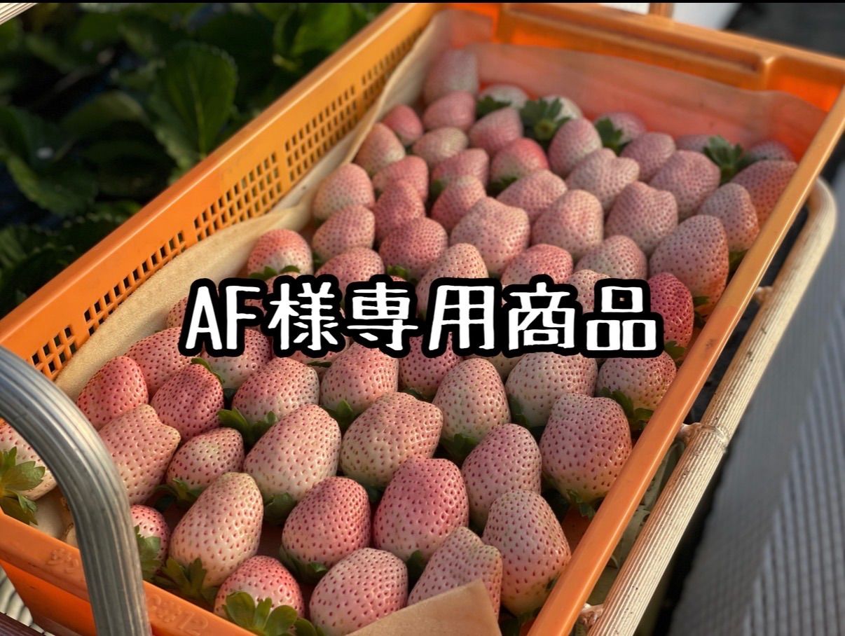 AF様専用商品】フレーズのこだわりいちご 【公式通販】