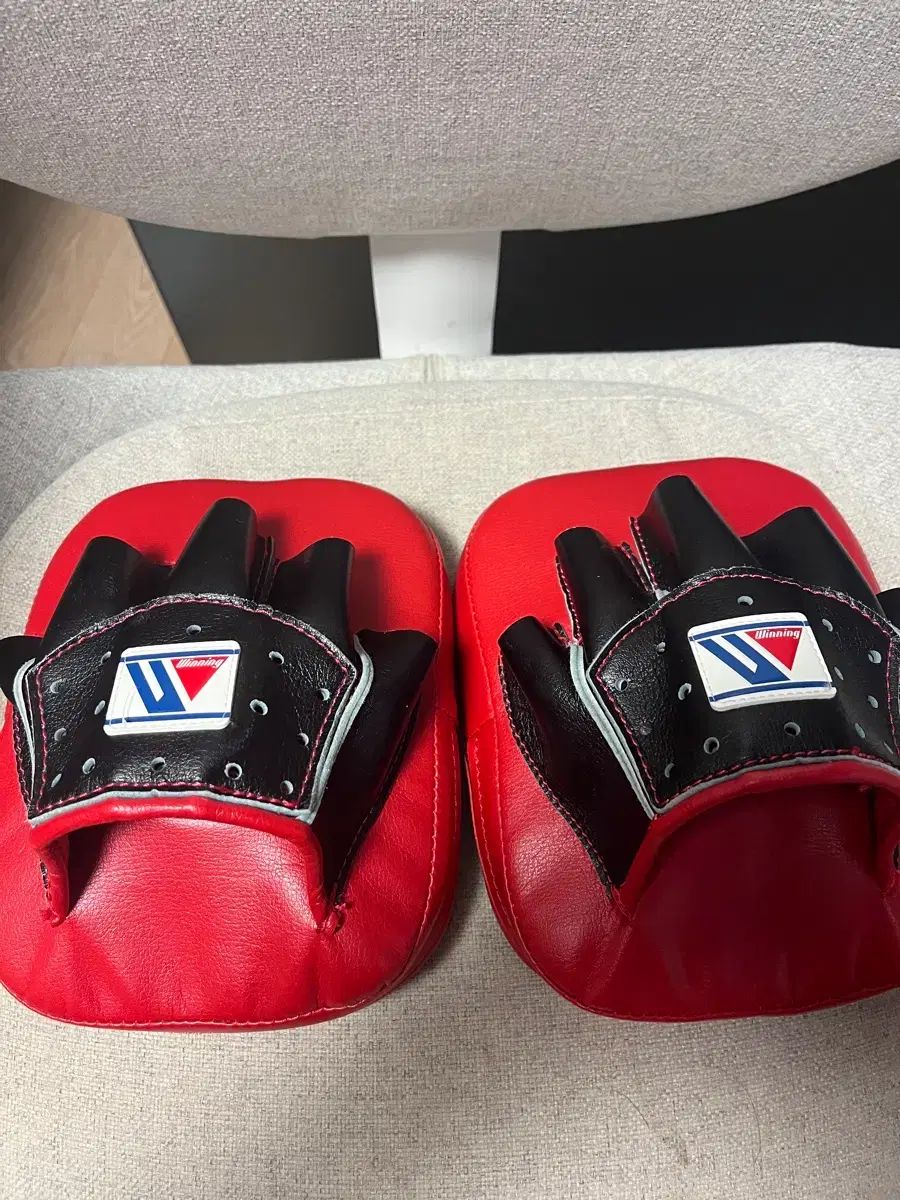 ウィニング 小型ミット cm 10