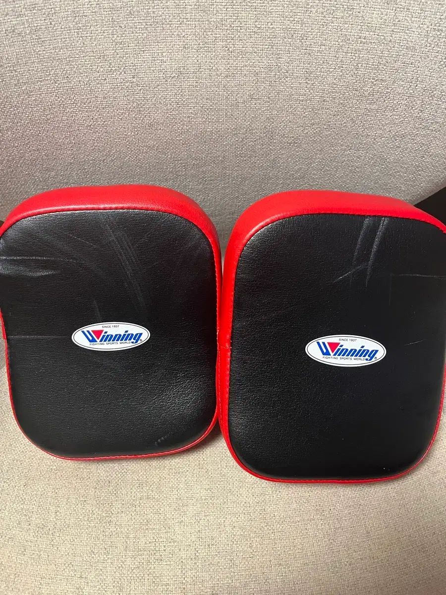 ウィニング 小型ミット cm 10
