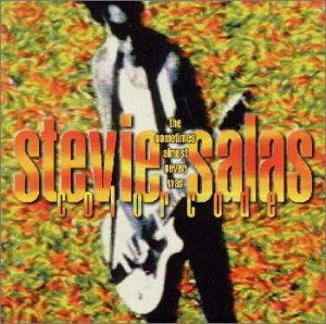 CD)ザ・サムタイムス・オルモスト・ネバー・ワズ／スティーヴィー