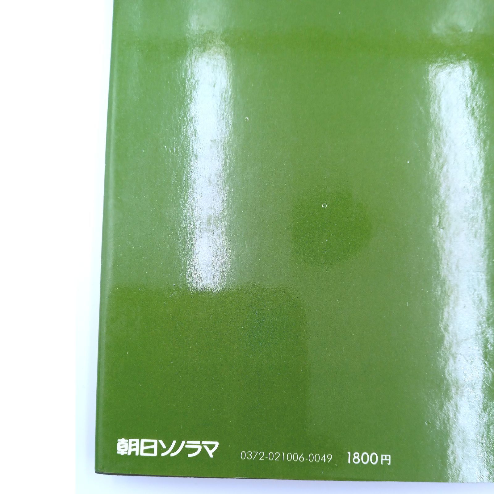 希少】朝日 ソノラマ写真選書 森山大道 続にっぽん劇場 写真帖 美品