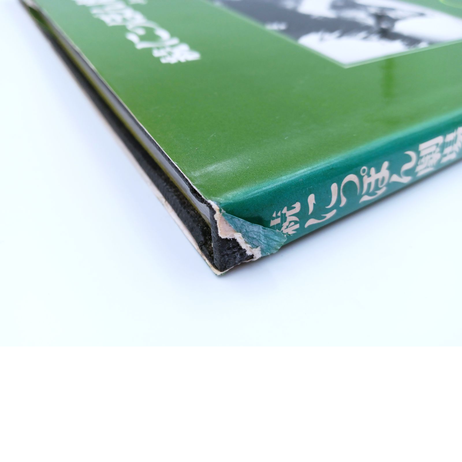 【希少】朝日　ソノラマ写真選書　森山大道　続にっぽん劇場 写真帖　美品 希少】朝日 ソノラマ写真選書 森山大道 続にっぽん劇場 写真帖 美品