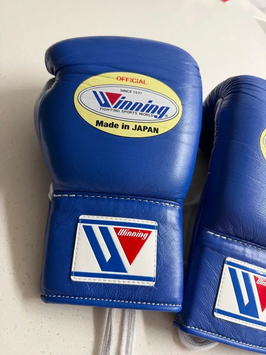 ウィニング レース 10オンス グローブ