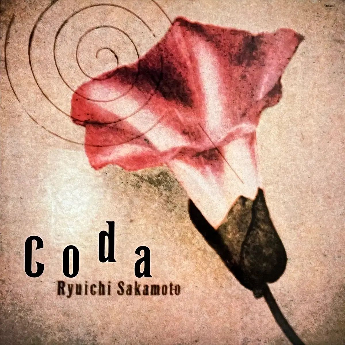 アンビエント LP りゅういち 坂本 Ryuichi Sakamoto 日本語教室 Coda