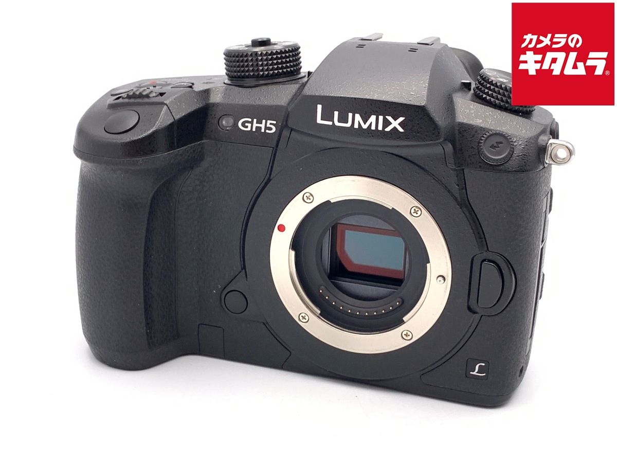 パナソニック LUMIX DC GH 5 K ボディ ブラック
