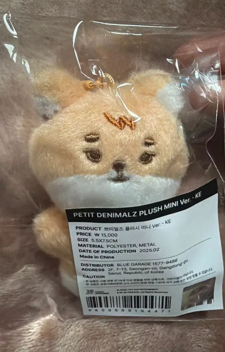 Syain アコースティックギター ハードケース付き Syain アコースティックギター ハードケース付き