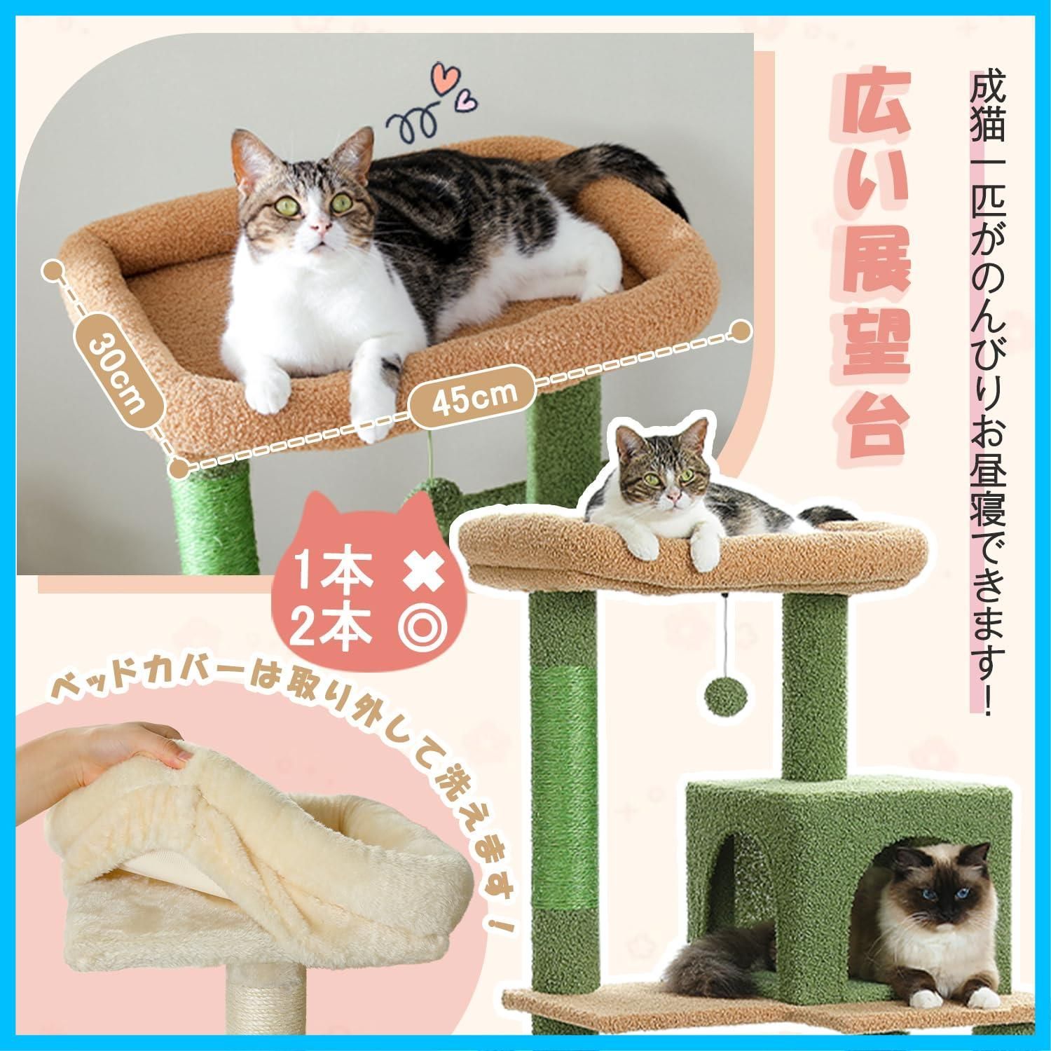 爪とぎ 運動不足解消