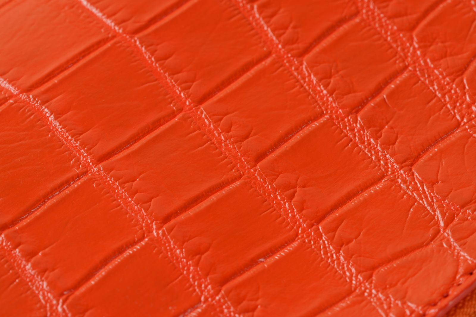 リアルクロコダイル