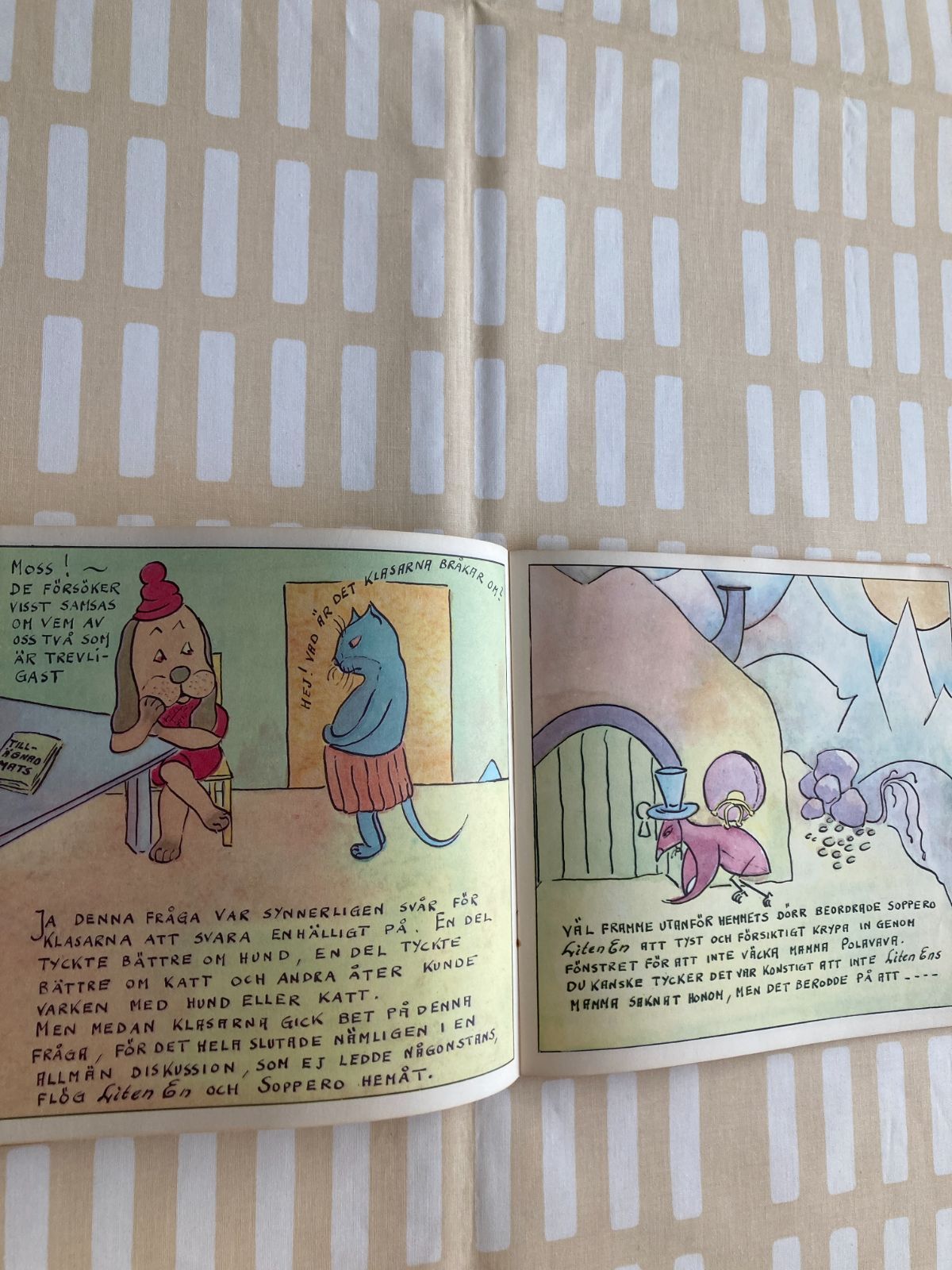 破れ傘 スウェーデン