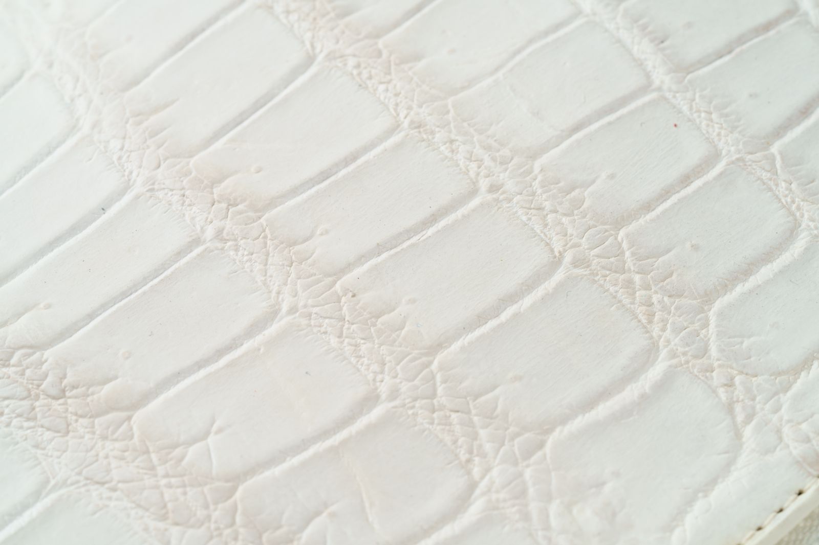 ヒマラヤクロコダイル柄クラッチバッグ 上質3