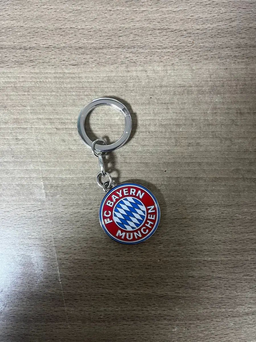 FCバイエルン・ミュンヘン マイスターシャーレ キーホルダー - メルカリ